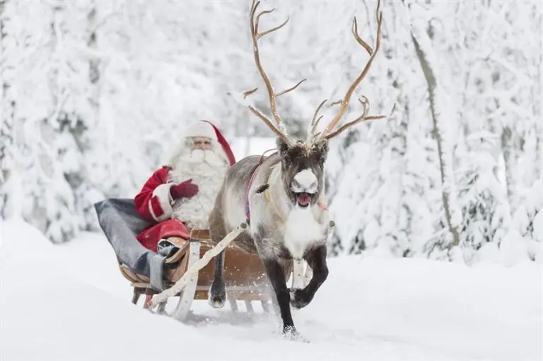 Rovaniemi Laponie