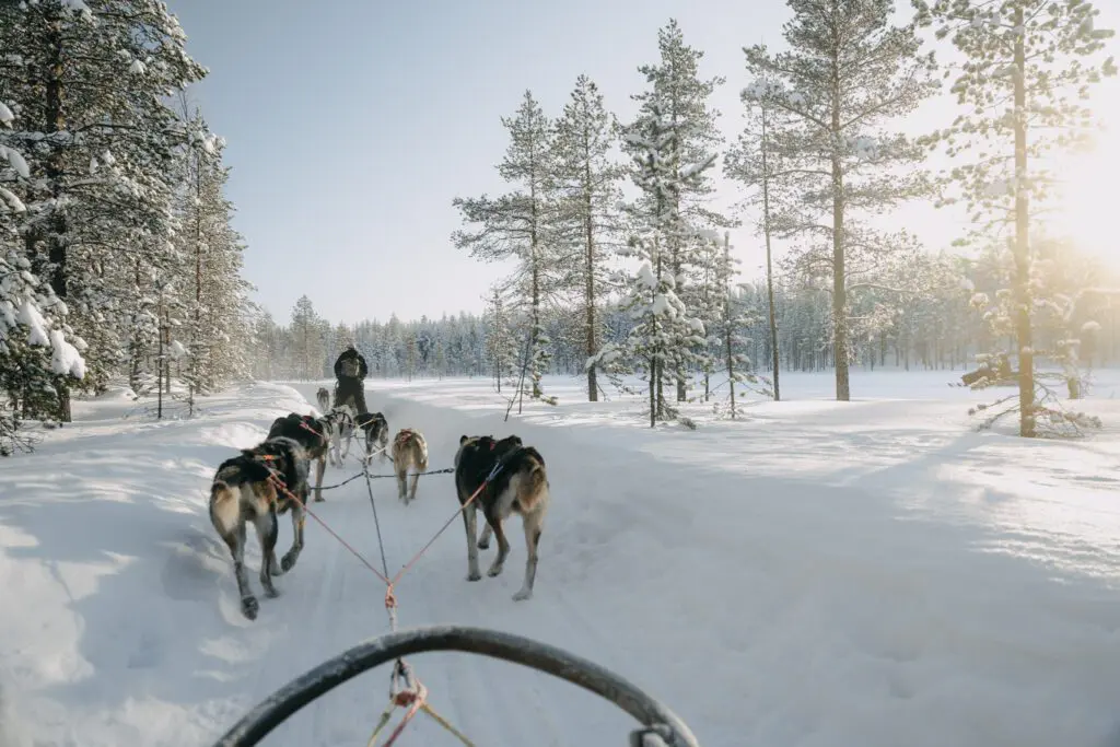 Laponie finlandaise