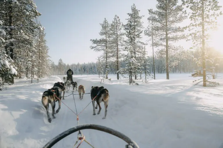 Laponie finlandaise