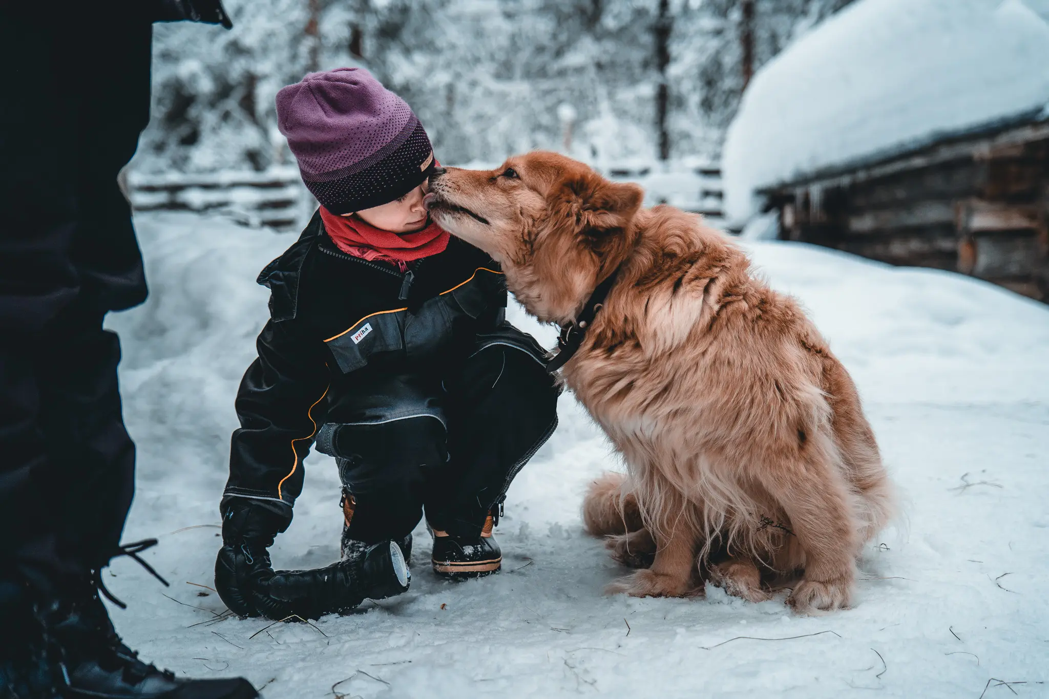 Enfants en Laponie