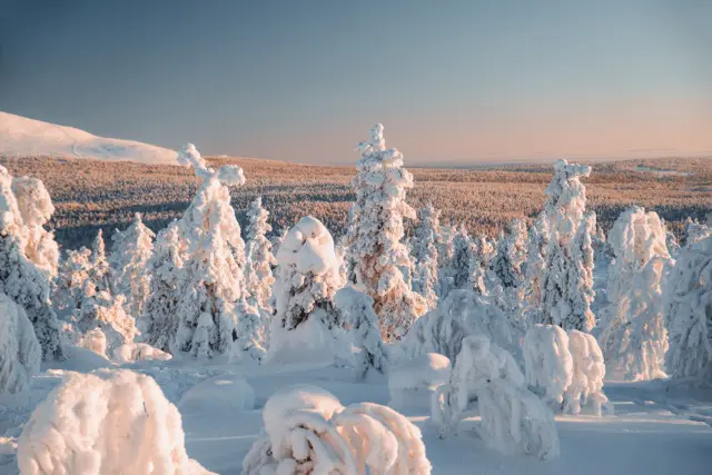 Vue sur le Laponie finlandaise