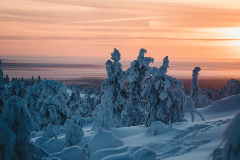 Paysage du Laponie finlandaise