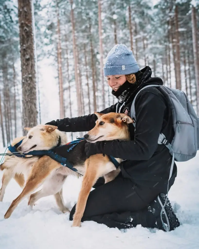Voyages en Laponie - voyages en Laponie - safari en husky - aurore boréale