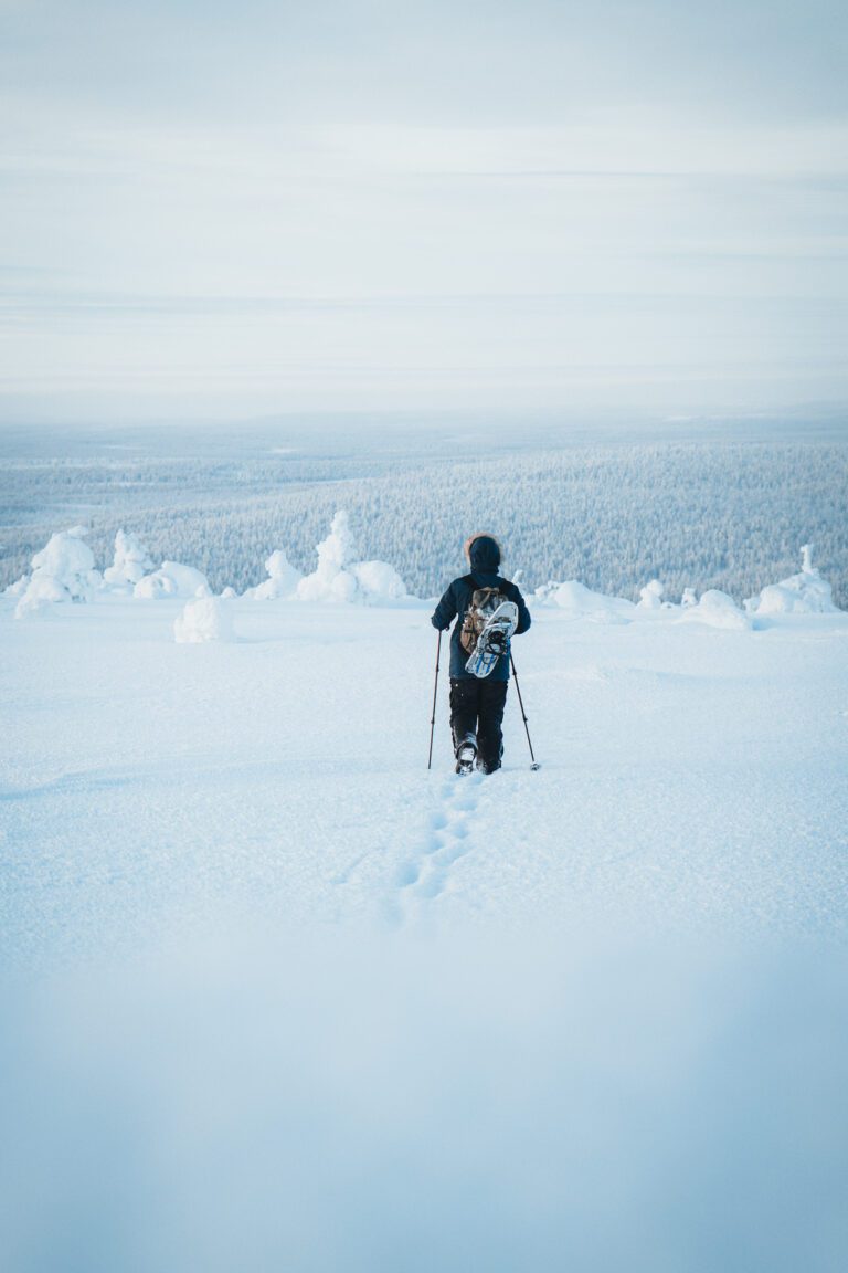 aurores boréales laponie