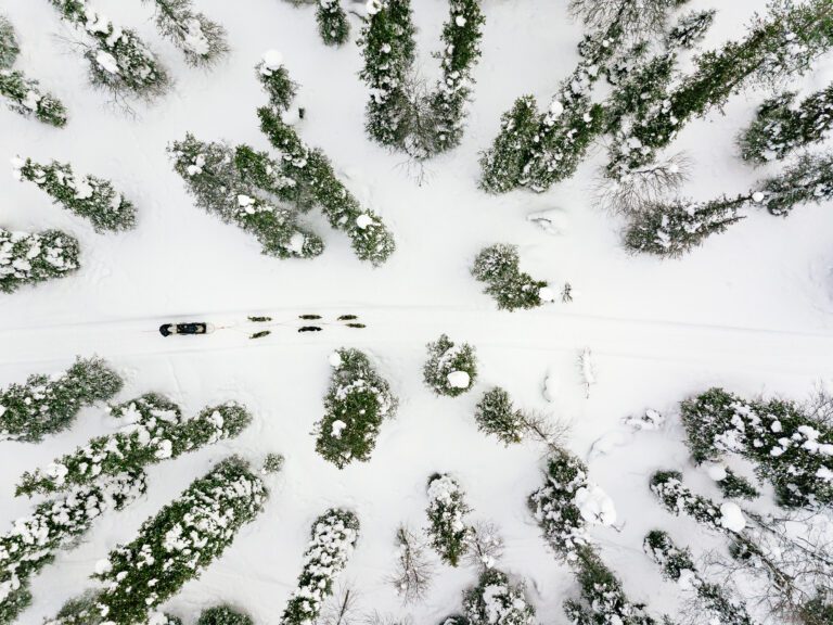 La Laponie en famille